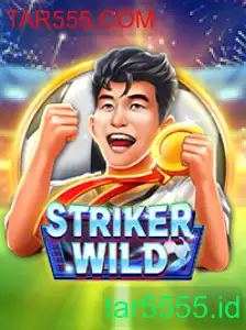 StrikerWILD